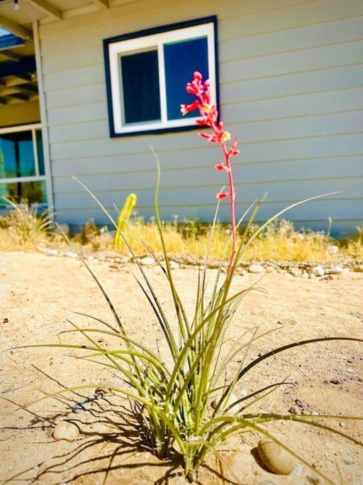 The Desert Monroe-Hot Tub-Firepit-Games-By Joshua Tree National Park Twentynine Palms Extérieur photo